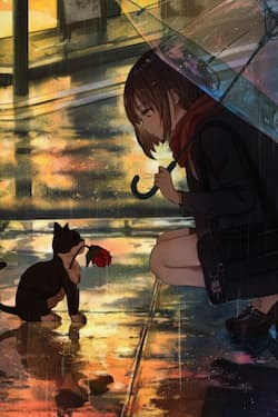 Đợi Mưa Tạnh