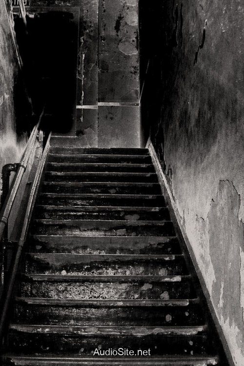 Bóng Ma Biển Đen: Lời Nguyền De Nachtschade