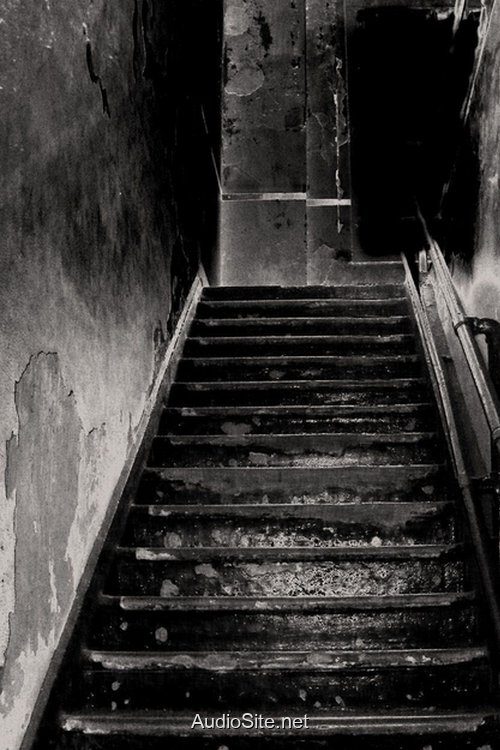 Giếng Máu: Lời Nguyền Cây Đa